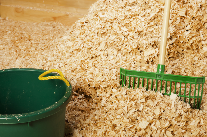 A pile of bulk wood shavings for the animal bedding with manure fork and bucket in a barn.